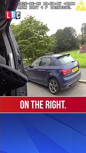 Man in van joins police chase to help catch suspect