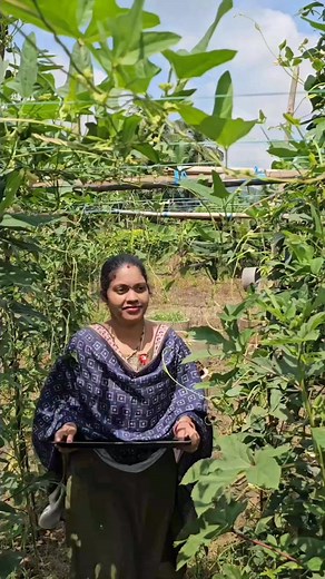 166K views · 2.7K reactions | vegetables harvesting #vegetables #longbeans #mygarden #organicfarming #gardening #short #viralvideoシfyp | mahr sowji gard ening and vlogs | Facebook