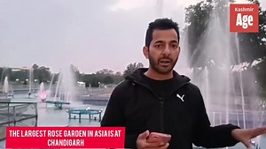 1.1K views · 4 comments | #Live || Asia's Largest Rose Garden Located in Chandigarh's Sector 16. Reports; Sahil Nazir wani | Kashmir Age | Facebook