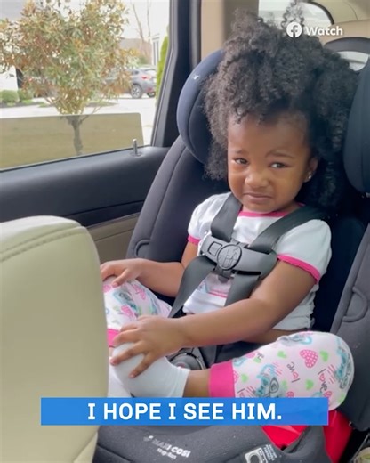 427K views · 12K reactions | Saying Goodbye to Grandpa, My Best Friend  | STEVE on Watch | Facebook