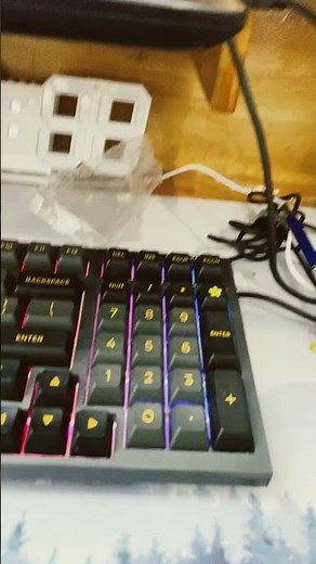 No island name in fisch ? Bug ?