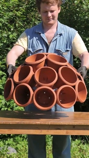 Genius hacks for a perfect flower garden! 🌸✨ #gardening