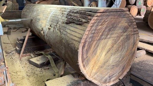 Fast Ironwood Sawmill Process in Action