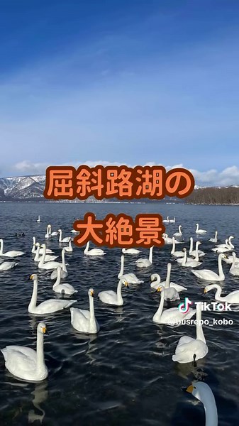 冬の道東観光バス旅を楽しもう！
