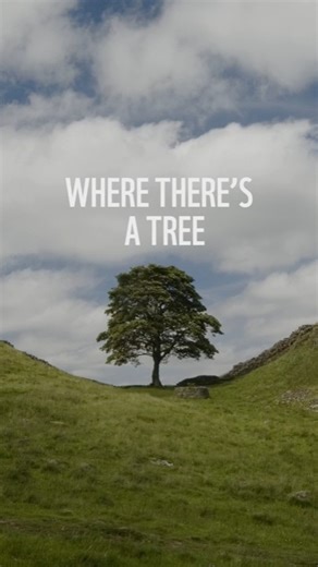 The Amazon is at breaking point. And the clock is ticking…⏳ If deforestation continues, we could lose one of our planet’s greatest defences against climate change. 🌍 COP30 is a key opportunity for the UK government to take meaningful action to protect forests at home and around the world. | WWF UK