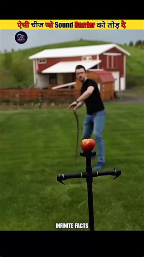 Kya aap jante hain kee whip ka crack asal me sonic boom hota hai | Infinite Fact #facts #1m #viral