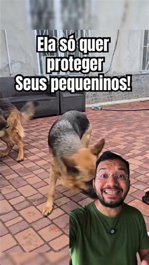 Cuidados materno… #dogs #caes #cachorro #doglife