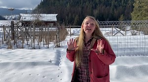 403 reactions · 142 shares | Do you believe you need a large garden...