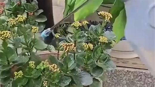 德沃多独立注水口3L大容量喷壶浇花洒水高压洗车神器消毒喷雾器长短双杆