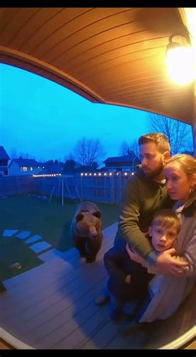 Bear attacks family near the door way