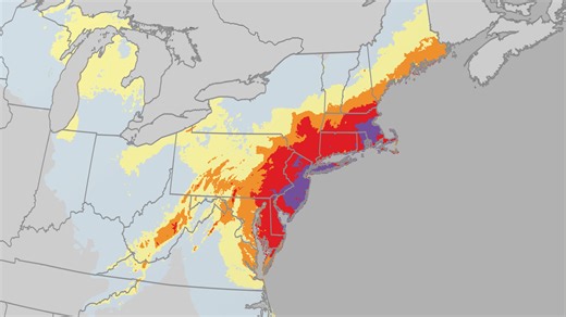 Damaging winds, coastal flooding expected from winter storm