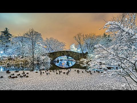 最愛懷舊經典老歌 Chinese Classic Love Songs
