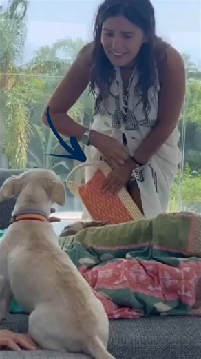 TELVA on Instagram: "Nuestro bolso Telva de agosto diseñado por @mariagdejaime para @himbacollection lo luce @tana_rmi en este precioso video dando la bienvenida a una nueva mascota adoptada por su madre. ♥️♥️"