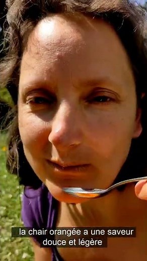 Comment manger une papaye