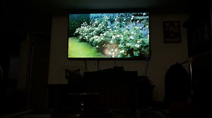 Alice In Wonderland (2010 DVD)