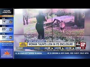 Video: Woman climbs inside lion exhibit at The Bronx Zoo