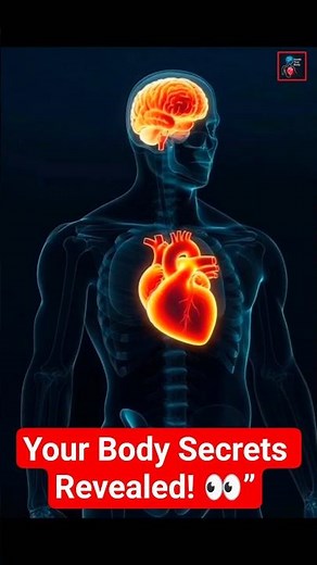 How the Human Body Works