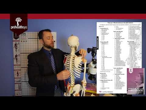 How many bones & joints in the body? What is joint popping? with Dr Vizniak