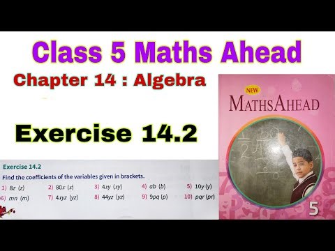 Class 5 Maths Ahead Exercise 14.2 | Algebra Concepts Explained | CBSE