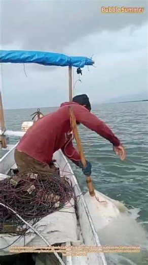 Récolter les richesses de l'océan : la pêche au poisson-diable