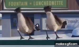 Rio Movie Geese on Make a GIF