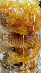 عسل سدر بني قيس https://wa.me/message/4S5H7KXILLZ5C1 777480646 | الصباحي لتجارة العسل اليمني