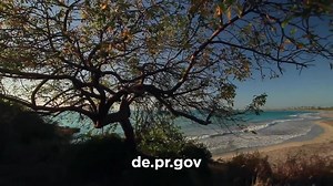 9.5K views · 218 reactions | La Nueva Escuela Virtual de Puerto Rico,...