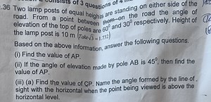 .36 Two lamp posts of equal heights are standing on either side... | Filo