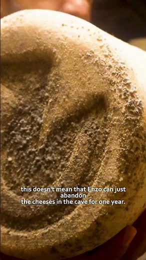 How mold growth affects cheese aging in caves