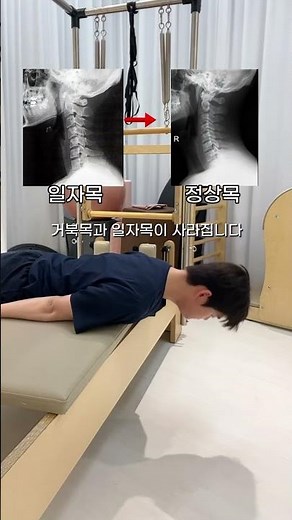 Cheat Sheet for Escaping Forward Head Posture and Straight Neck: 5 Neck Stretches You Can Finish ...
