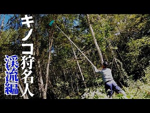 【松茸よりうまい？？】名人のキノコ採りに一日密着、素人でも簡単に採れる？沢にある美味しいキノコはこれだ！意外と知らないヌメリスギタケモドキ！キノコ狩り名人が説く茸の食べ方