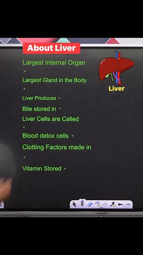 71K views · 984 reactions |  About Liver 樂 !! #biology #gk #sciencefacts #knowledge #study #education #gkfacts #gkquestions #exams #NEET #upsc #reelsviralfb #facebookreelsviral #fbreelsvideo #facebookreelsvideo #fbreelsviral #facebookreels #reelsviral #reelsfb | Krishna Thakur | Facebook