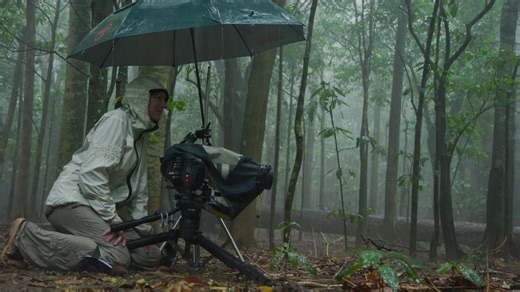 Filming with purpose: Technology that takes wildlife cinematography further