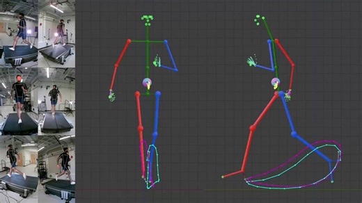 Se llama FreeMoCap y es un sistema de captura de movimiento (mocap) 3D "markerless", es decir, no requiere trajes especiales ni marcadores físicos adheridos al cuerpo.Open source y gratuito para investigadores, animadores, atletas y creadores de todo el mundo.