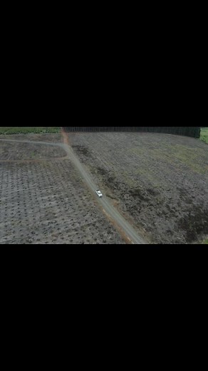 Ansen Sibanyoni: From Forestry Supervisor to CEO