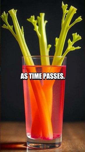 Small World Big Experiments: A Home Science Showcase