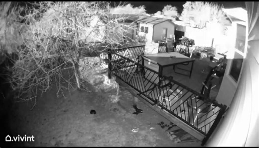 'Very bizarre' large explosion heard across multiple cities in Salt Lake Valley