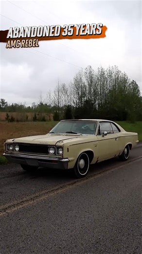 20K views · 320 reactions | ABANDONED 35 YEARS! Will This AMC Rebel RUN and DRIVE Again? | Dylan McCool | Facebook