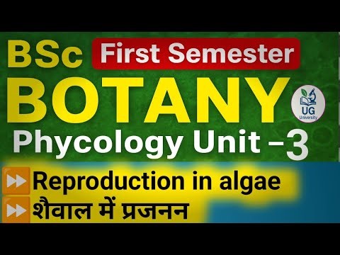 BSc 1st Semester Botany || unit 3 phycology || topic Reproduction in Algae