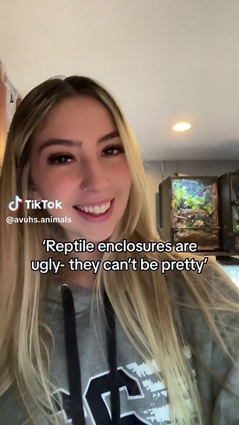 Creating A Beautiful Snake Enclosure with UVB and Plant Lighting