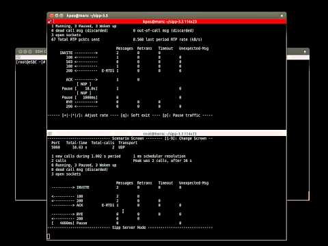 How to Make Call Between two SIPp Devices