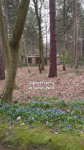 Are you joining us on a springtime break this year?🌷 Let us know in the comments if you are 👇 #centerparcs #spring #springbreak #ukholiday