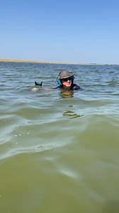 346K views · 1.7K reactions | Lake Hunting at Garrett’s Island!勞We went lake hunting at a place a customer recommended to us and we made an awesome video for you guys! We found unbelievable treasures at this lake The full video drops tomorrow. Make sure to like, comment, and subscribe to our YouTube channel!#garrett #garrettatmax #garrettfind #metaldetecting #lakedetecting #metaldetector | Garrett Metal Detectors | Facebook