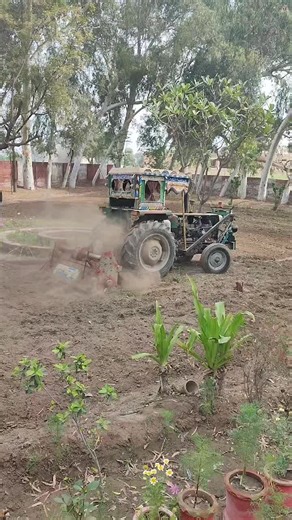 Maximize Your TikTok Engagement with Creator Rewards