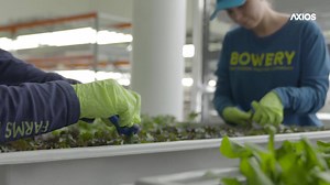 In this episode of Smarter Faster: Transformation, a new series that shows how workforces are being trained to land the jobs of tomorrow, we explore how indoor farming is changing agriculture. | Axios