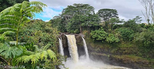 Rainbow Falls - This Hawaii Life