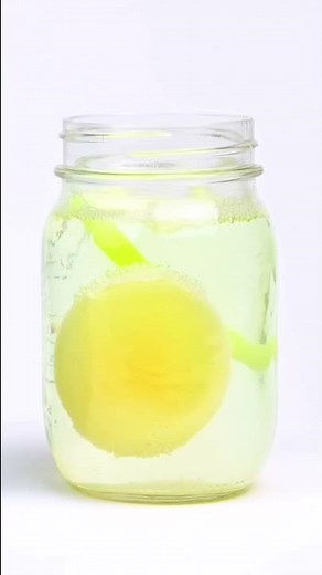 Egg in Vinegar Experiment 🥚