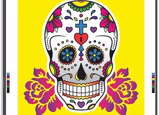 10 Pros and Cons of Adobe Illustrator