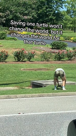 2.2K views · 78 reactions | A minute of your time can mean a lifetime for a turtle  #fyp #reels #turtles #wildlife | Timothy Bagley | Facebook
