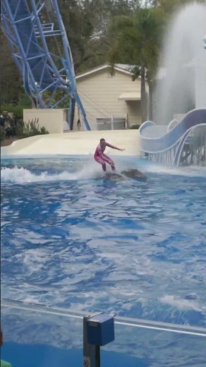 Dolphin Riding at SeaWorld Orlando